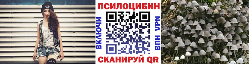 Псилоцибиновые грибы GOLDEN TEACHER  Салаир 
